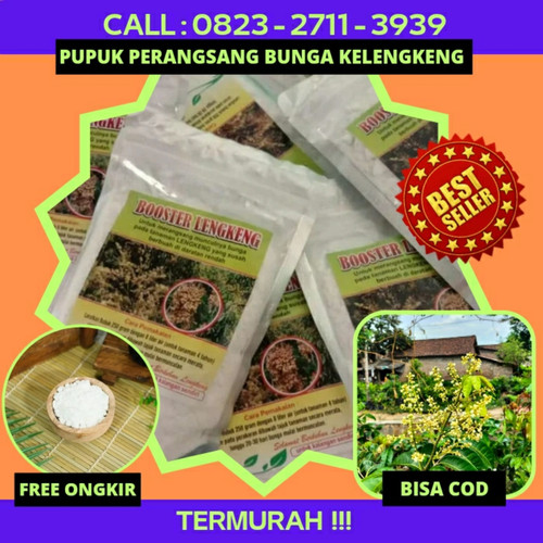 TERMURAH! CALL 0823-2711-3939 Penjual Pupuk Perangsang Bunga Kelengkeng.jpg
