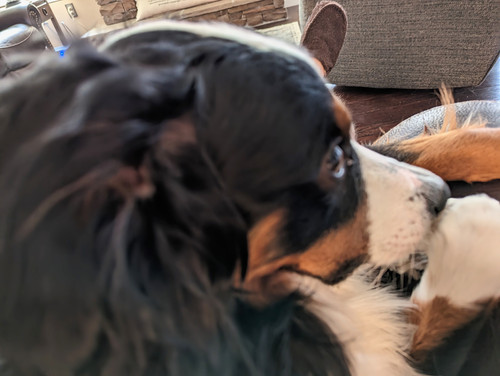 PXL 20230314 210956462~2