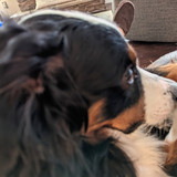 PXL 20230314 210956462~2