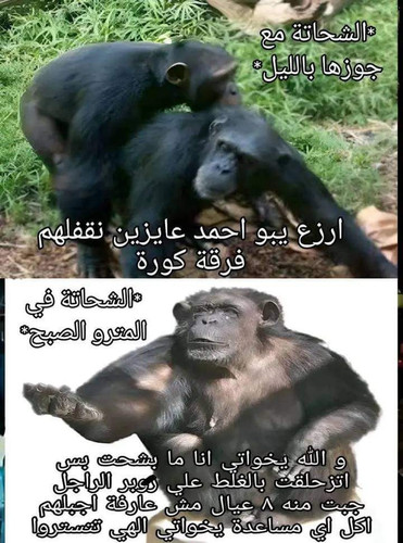20230314 235403.jpg