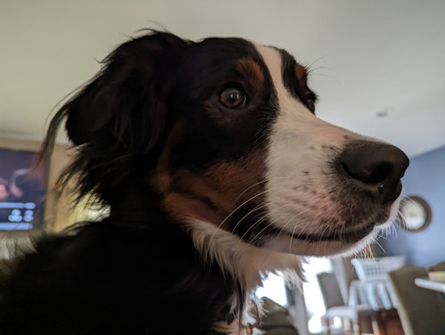 PXL 20230314 203202146