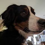 PXL 20230314 203202146