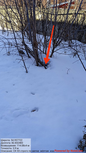 IMG 20230312 161923.jpg