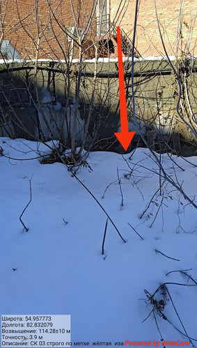 IMG 20230312 160127.jpg