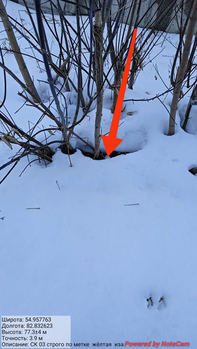 IMG 20230312 161957.jpg