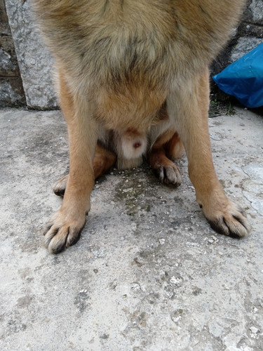 IMG 20230309 155915.jpg