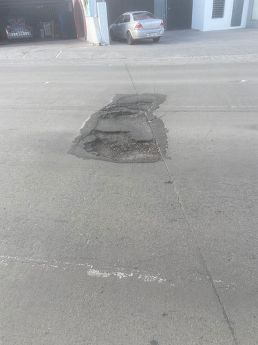 BACHE 104.jpg