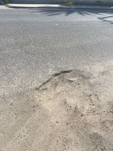BACHE 102 B.jpg