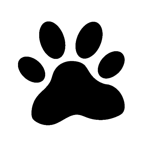 vector60 3771 01 removebg preview.png
