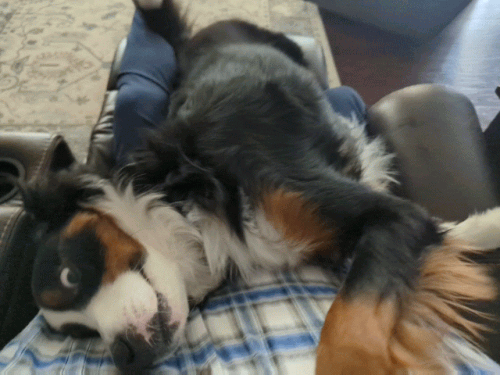 PXL 20230309 203103527 exported stabilized 1678393882397