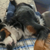 PXL 20230309 203103527 exported stabilized 1678393882397