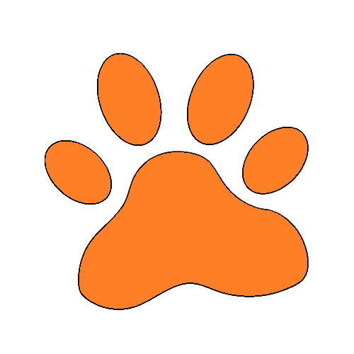 vector60 3771 01 removebg preview.png