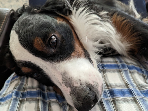 PXL 20230309 205139501