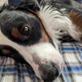 PXL 20230309 205139501