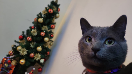 IMG 20230309 WA0024.jpg