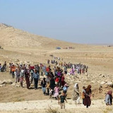 ezidi m