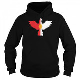 exidxan ezidi yezidische flagge yezidi unisex hoodie