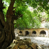 DSC03003 2400 1800