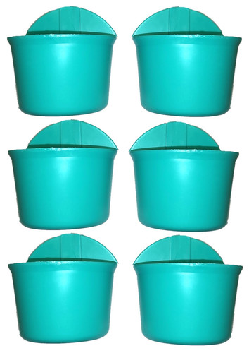 Teal 6PK.jpg