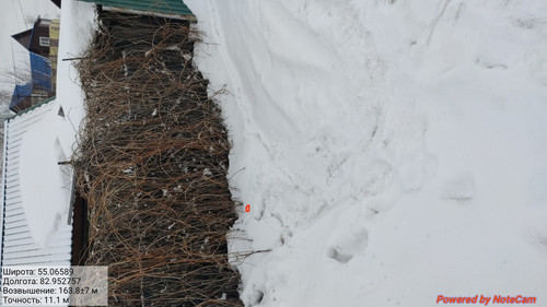 IMG 20230309 075501.jpg