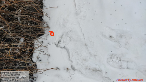 IMG 20230309 075532.jpg