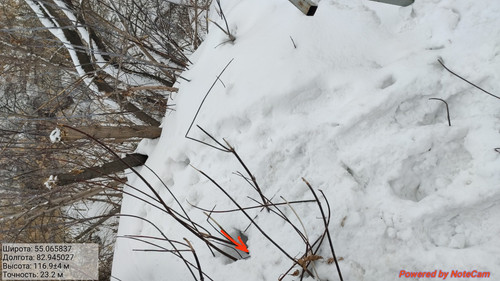 IMG 20230309 110354.jpg