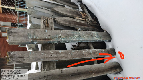 IMG 20230309 105615.jpg