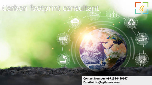 Carbon footprint consultant .10.jpg