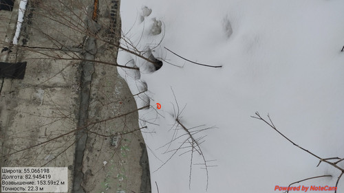 IMG 20230309 110428.jpg