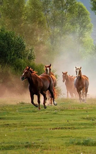 ٢٠٢٣٠٢٢٢ ٠٧٣١٤٣.jpg