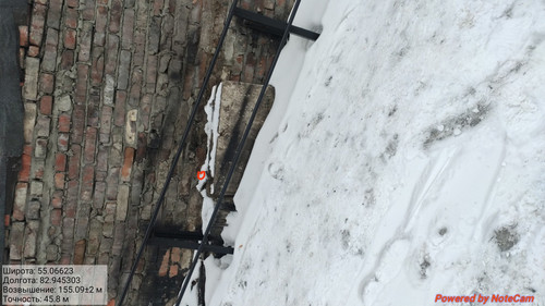 IMG 20230309 110516.jpg