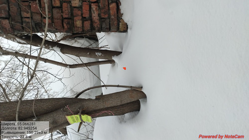 IMG 20230309 110440.jpg