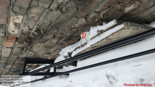 IMG 20230309 110457.jpg