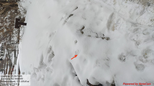 IMG 20230309 110551.jpg