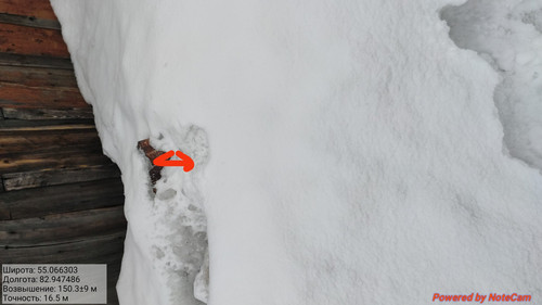 IMG 20230309 094346.jpg