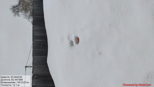 IMG 20230309 094323.jpg