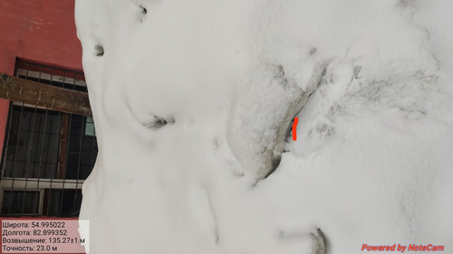 IMG 20230308 175026.jpg