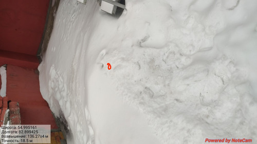 IMG 20230308 175416.jpg