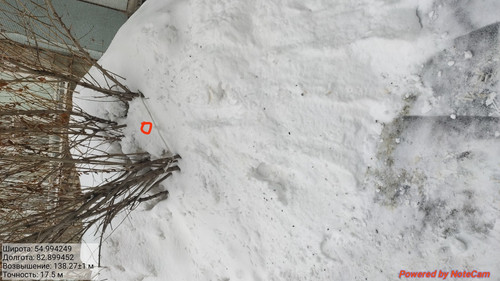 IMG 20230306 235009.jpg