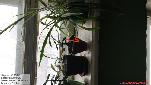 IMG 20230309 110859.jpg