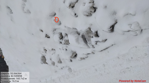 IMG 20230309 080249.jpg