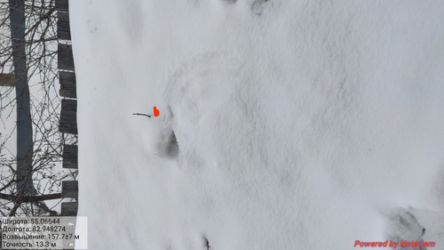 IMG 20230309 081003.jpg