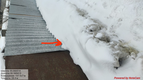 IMG 20230309 080830.jpg