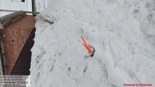 IMG 20230309 080035.jpg