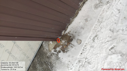 IMG 20230309 080131.jpg