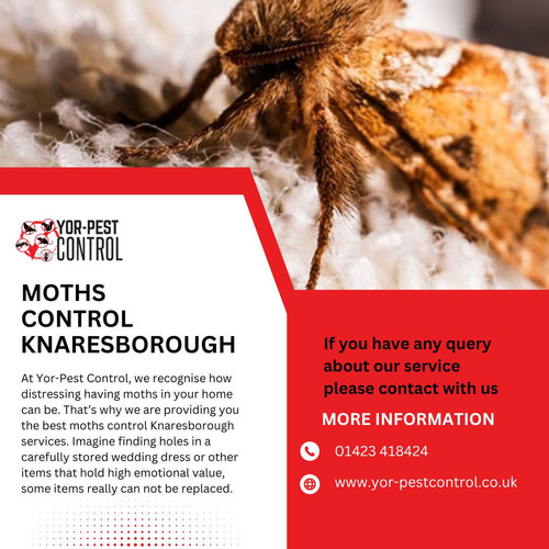 Moths control Knaresborough (1).jpg
