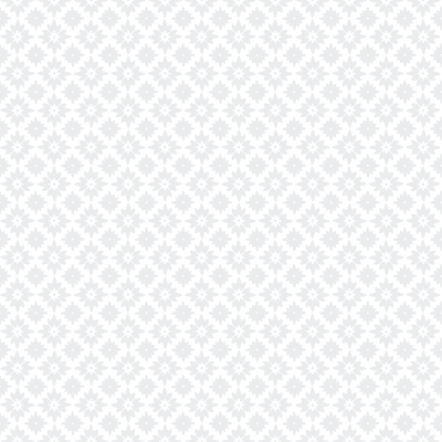 moroccan flower.png