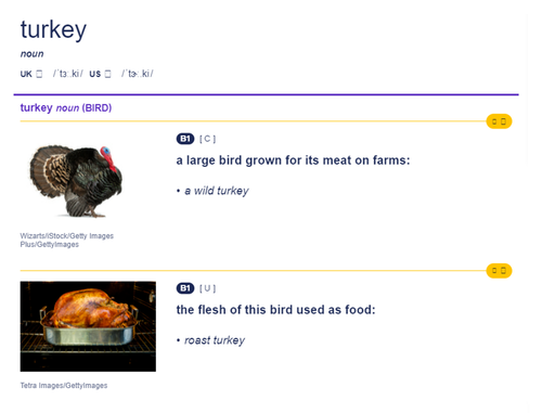 turkey cambridge1.png
