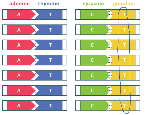 Guanine