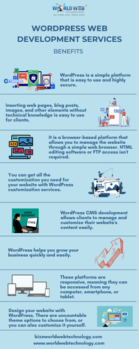 WordPress Web Development Services.png